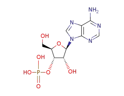 adenosine monophosphate