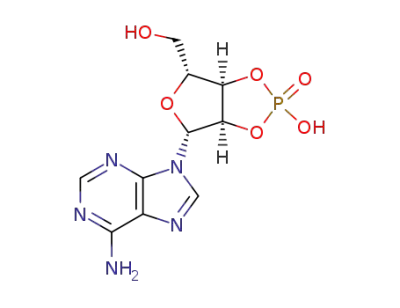 adenosine 2',3'-cyclic monophosphate