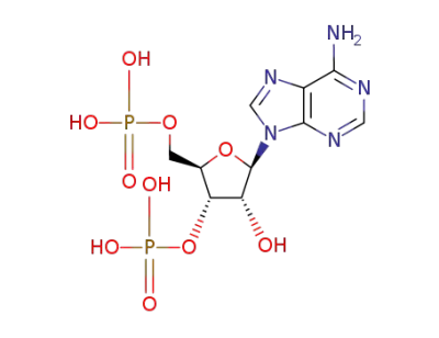 3'-phosphoadenosine-5'-phosphate